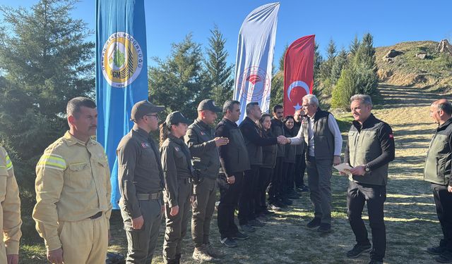 Dalaman'da yanan alanlar tekrar yeşerdi