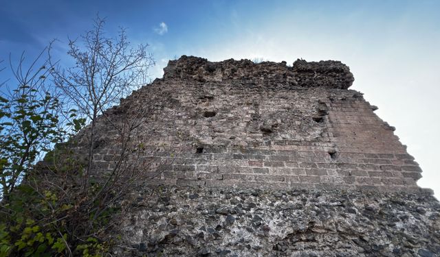Dünyanın en eski hastanesi olduğu değerlendirilen yapı, tarihe kazandırılmayı bekliyor