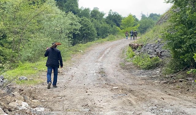 Kesilen 1183 yaşındaki porsuk ağacı, odun olmaktan kurtarıldı; İstanbul'da müzede sergilenecek