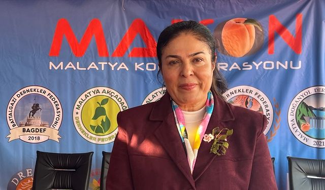 Malatya Memleket Günleri, Maltepe’de kapılarını ziyaretçilerine açtı