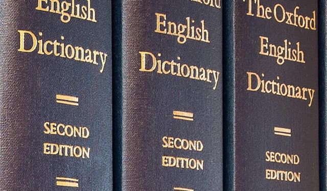 Oxford Sözlüğü 2025 yılının kelimesini seçti: Öfke yemi