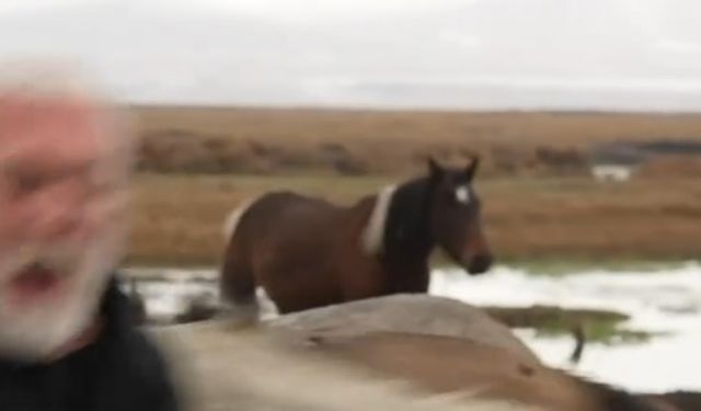 Sanatçı Onur Akın'a, klip çekimi sırasında at çarptı