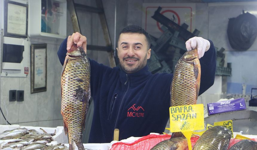 Samsun’da hamsi 100 liraya tezgahlarda yerini aldı