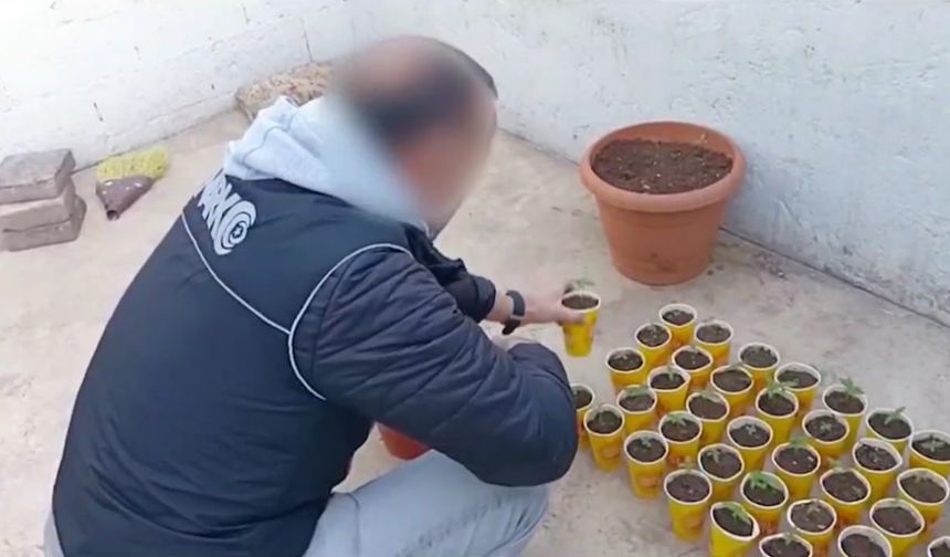 Diyarbakır merkezli 3 ilde torbacı operasyou; 29 şüpheli tutuklandı
