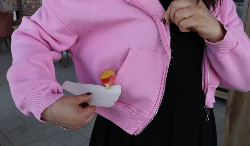 Eskişehir’de sahiplendiği papağanını yanından ayırmıyor