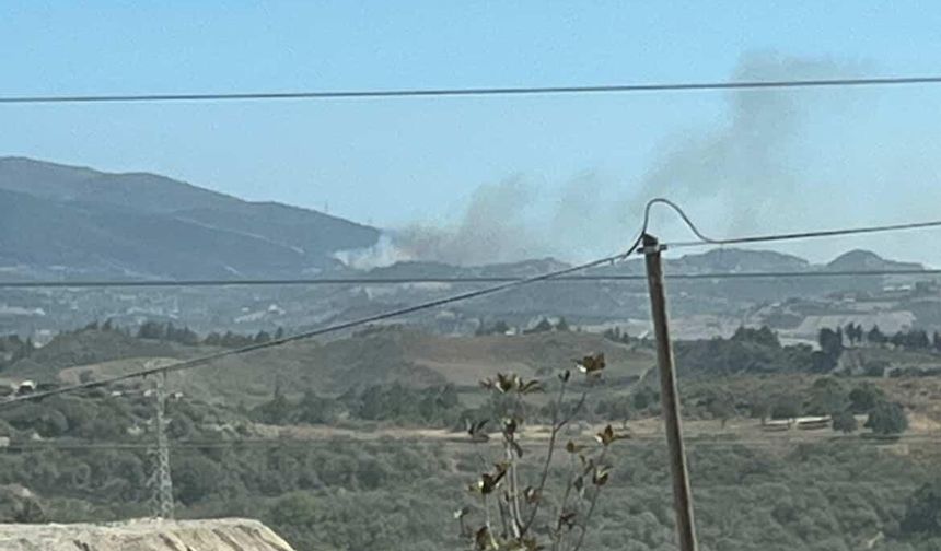 Hatay'da orman yangını