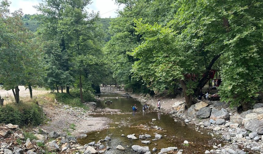 Sakarya'da Maden Deresi ve şelalesi kurudu