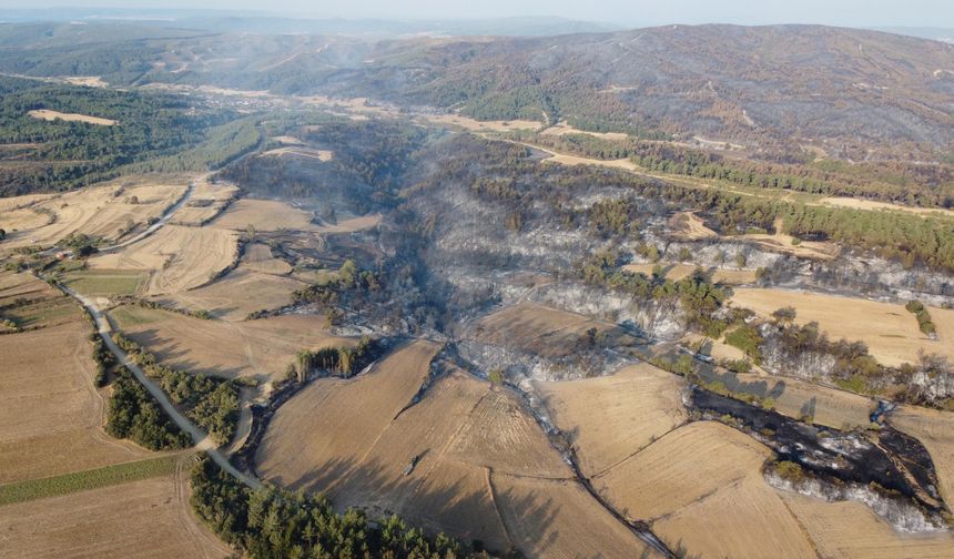 Çanakkale'de orman yangını kontrol altına alındı