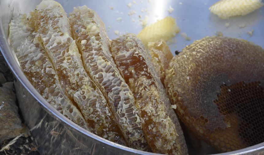 Bitlis Valisi Ahmet Karakaya, kara kovan bal hasadı yaptı