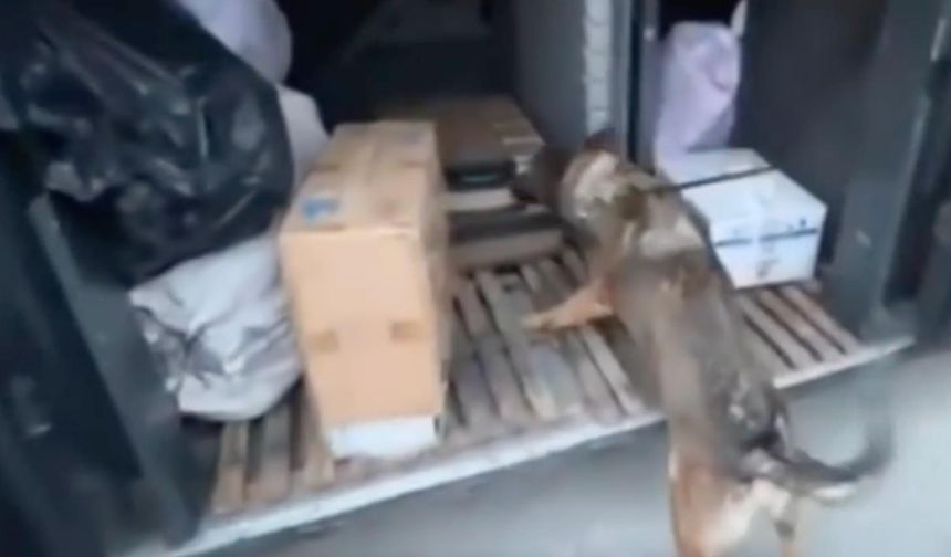 Otobüslerde elektronik sigara ve kartuşu ele geçirildi