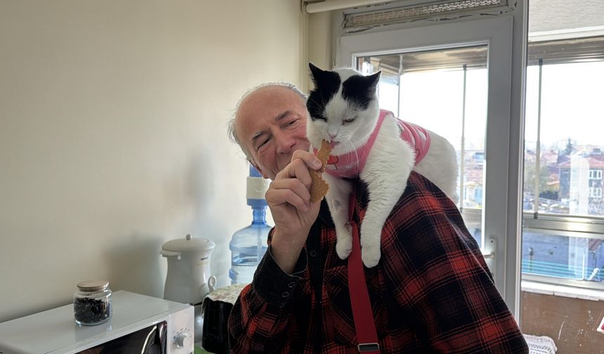 12 yıl önce sahiplenip birlikte 65 şehir gezdiği kedisi omzundan inmiyor