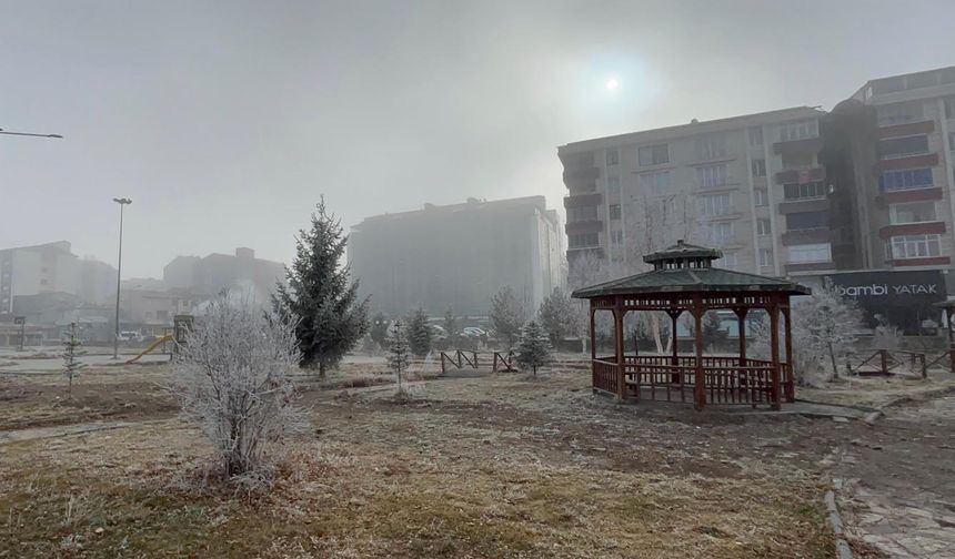 Ardahan'da sis ve kırağı etkili oldu