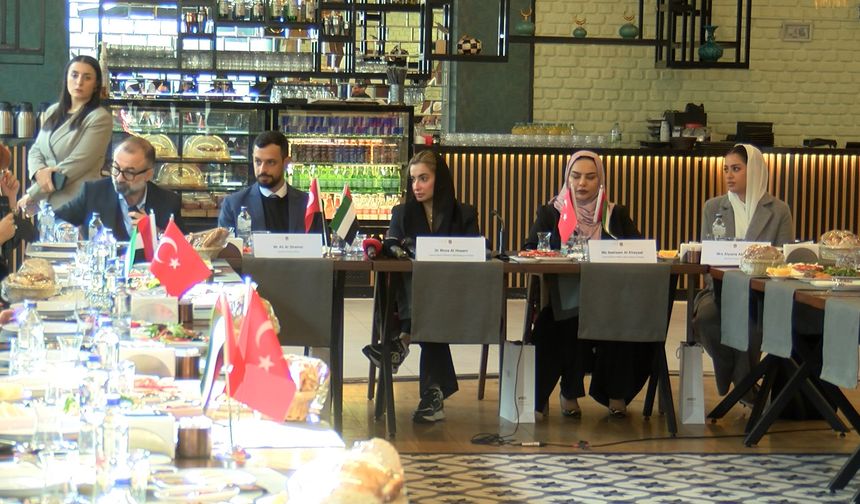 BAE kültürü, Ankara'da tanıtılacak