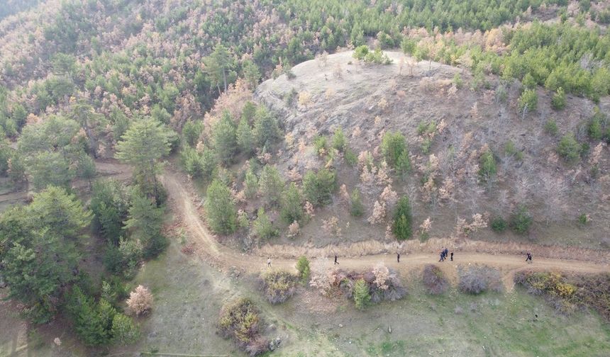 Çankırı'da mantar toplamak için evden ayrılan kadın, ormanda ölü bulundu