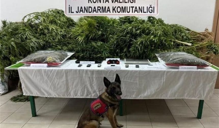 Çiftlikte uyuşturucu bulunmasında sahibi avukat beraat etti, kiracı ceza aldı