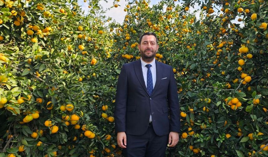 Hatay'da dalında kalan mandalinadan meyve suyu üretilecek