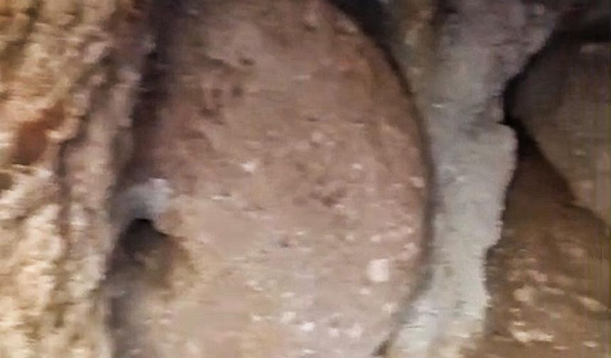 Keşfettikleri yer altı şehrinde kaçak kazı yapan 2 şüpheliye suçüstü