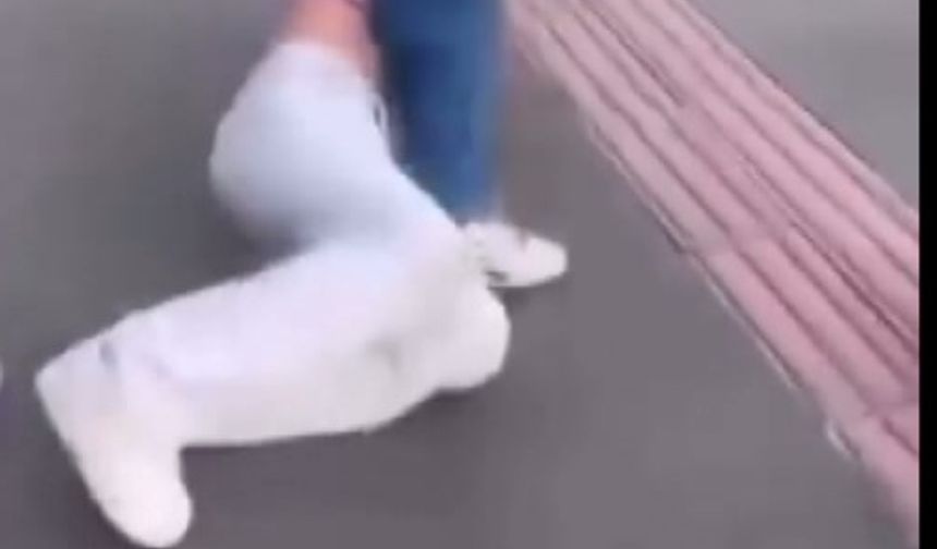 Lise öğrencisi, sokakta ortasında darbedildi; görüntülerini paylaştılar