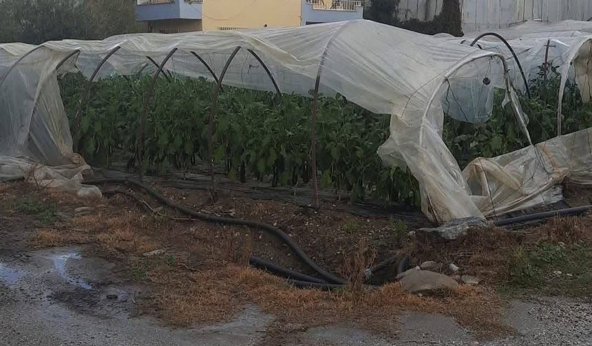 Mersin'de hortumlar evlere ve seralara zarar verdi