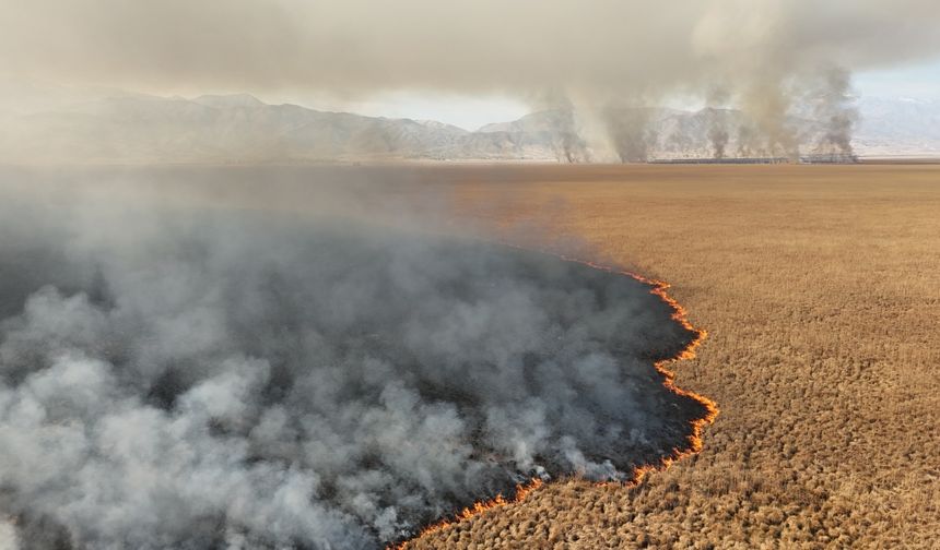 Nehil Sazlığı'ndaki yangın söndürüldü