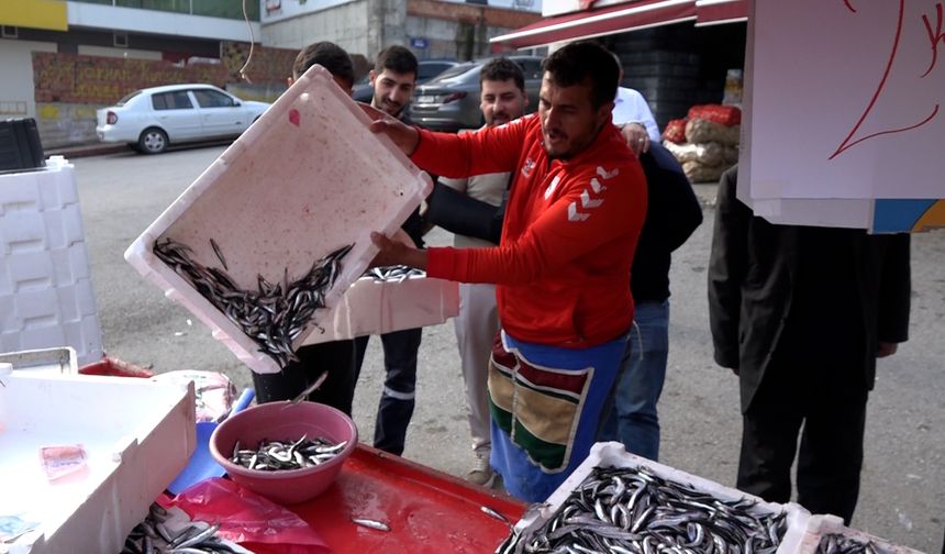 Samsunspor'un başarısını, 75 kasa hamsiyi, kilosunu 25 TL'den satarak kutladı
