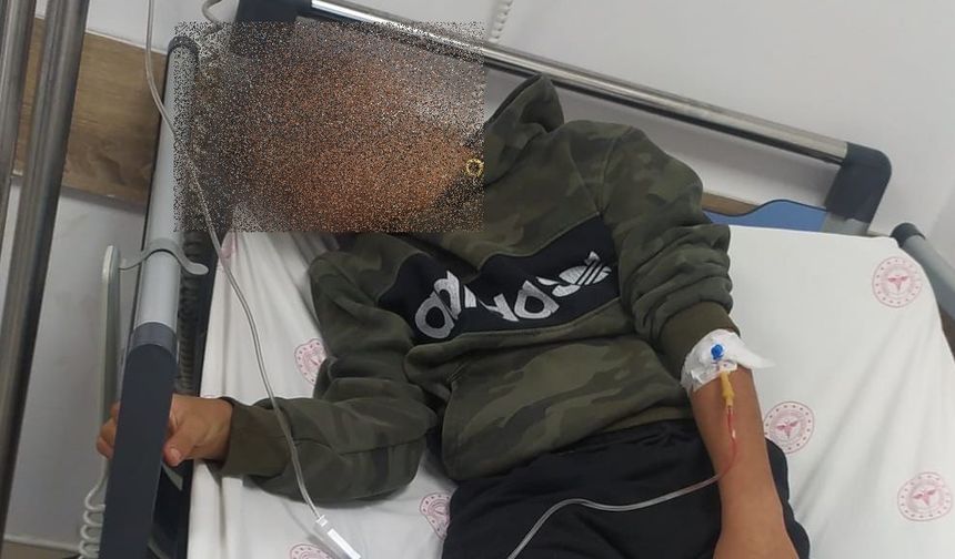 Sucuklu tost yiyen anne ile oğlu hastanelik oldu