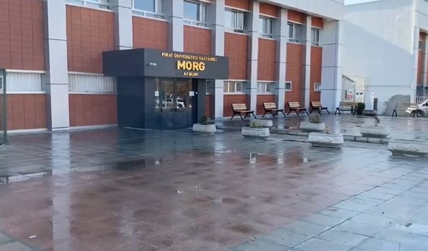 Tartıştığı eşini tabancayla ateş edip öldürdü