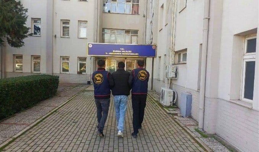 1 milyon 200 bin liralık ‘Tiny House'u çalan şüpheli tutuklandı