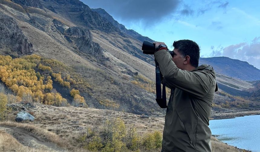 Bitlis'te gökyüzünde karga yoğunluğu kamerada