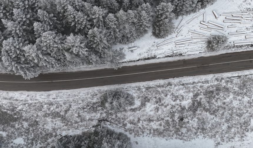 Bolu ormanlarında kar manzarası