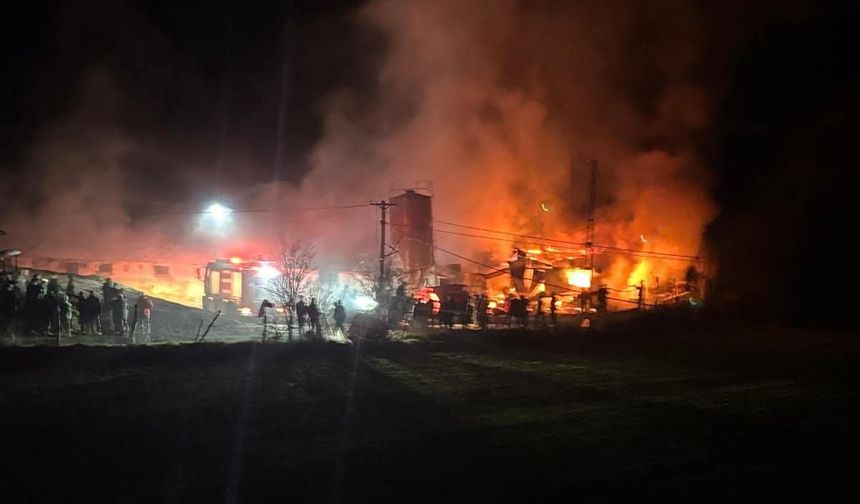 Bolu'da kümes yangını