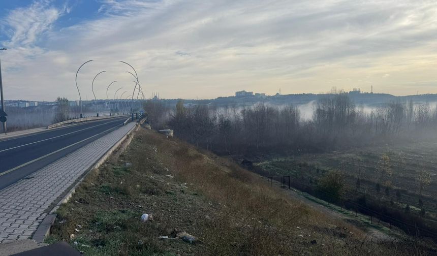 Dicle Vadisi'nde sis manzarası