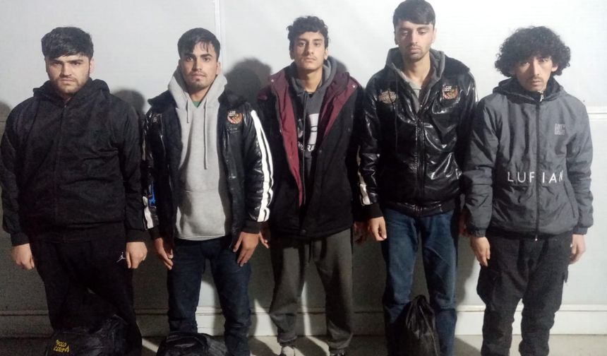 Edirne'de 20 kaçak göçmen yakalandı