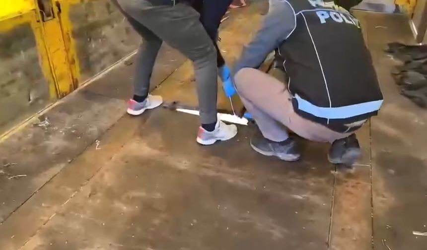 Hatay'da TIR'dan 220 bin adet uyuşturucu ecza ele geçirildi