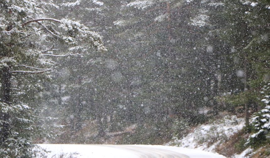 Kartalkaya pistler beyaza büründü, kar kalınlığı 10 santime ulaştı