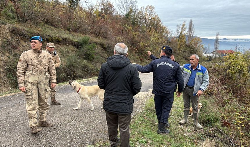 Kayıp kadını arama çalışmalarında 2'nci gün
