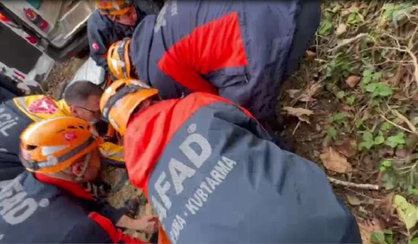 Kestiği ağacın çarpması sonucu yaralandı