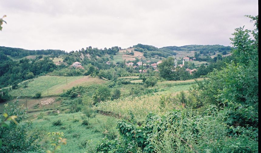 Prof. Dr. Yılmaz: Türkiye, yerleşme ve mesken çeşitliliğiyle adeta bir açık hava müzesi