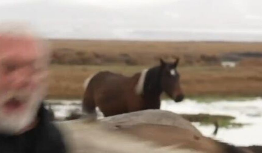 Sanatçı Onur Akın'a, klip çekimi sırasında at çarptı