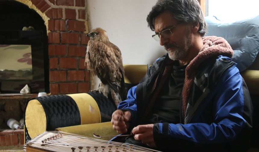 Tedavi edip doğaya bıraktığı kızıl şahin, aylar sonra geri döndü