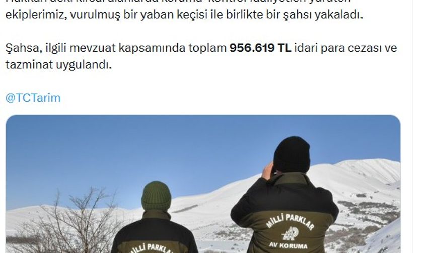 Yaban keçisi vuran avcıya 956 bin TL ceza