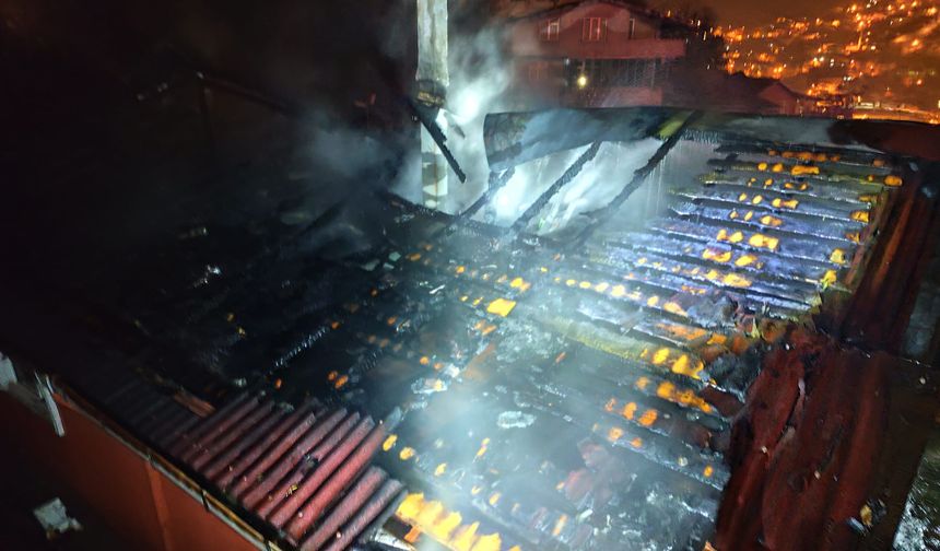 Yanan evden mahsur kalan papağanı itfaiye kurtardı