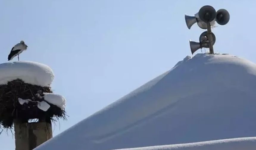 Yüksekova'da 23 yıldır göç etmeyen leyleklere yenileri eklendi